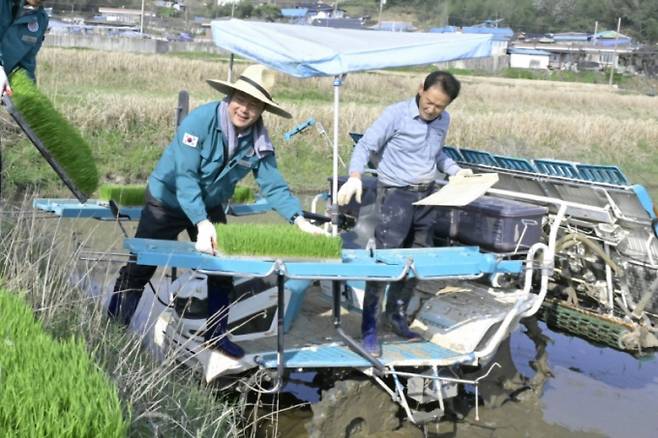 최영일 순창군수(왼쪽)가 모내기 작업을 돕고 있다./사진=순창군