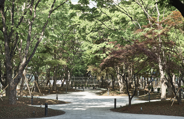 명일광장.강동구청 제공