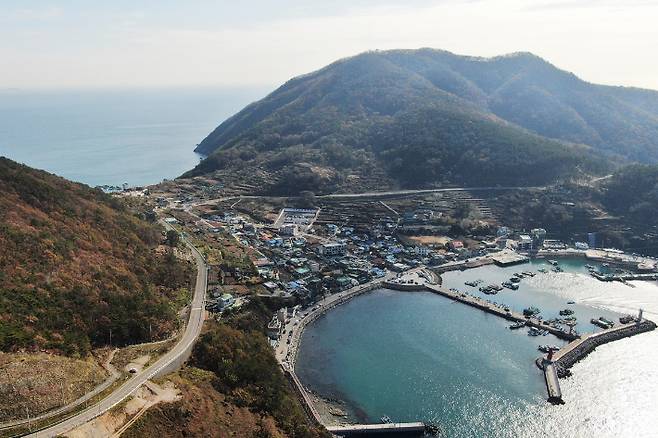 가덕도신공항 예정부지. 부산시 제공