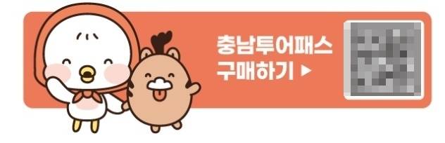 ▲충남 방문의 해를 맞아 충남도와 충남문화관광재단이 출시한 '2025년 충남 투어패스 통합권'의 이미지 ⓒ충남도