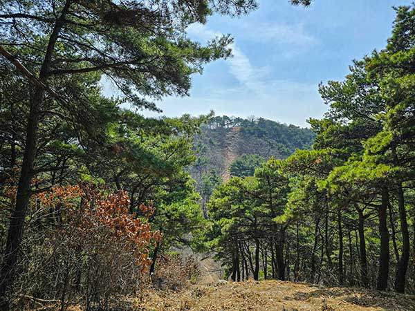 성암산에서 병풍산 방향의 넓은 능선길이 아름답고 걷기 좋다.