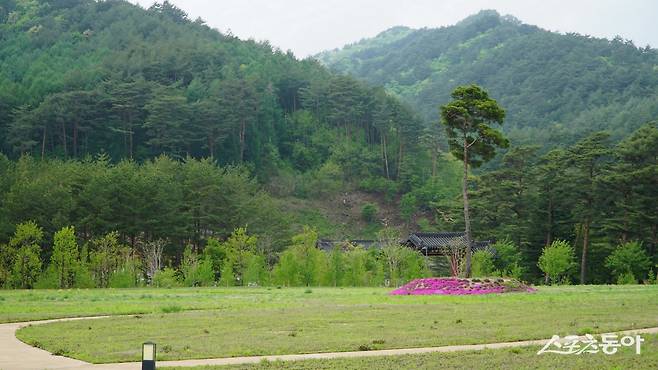 오대산 자연명상마을 옴뷔(OMV)의 ‘붓다의 정원’. 연꽃 모양으로 길을 조성했다   평창·영월｜김재범 기자 oldfield@donga.com