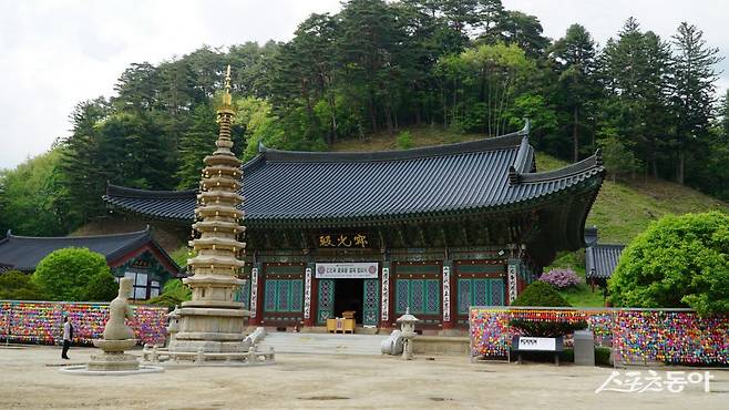 말끔해진 모습의 팔각구층석탑이 자리한 오대산 월정사 경내. 신라시대 때 지은 문수보살 성산인 오대산의 고찰이다                   평창·영월｜김재범 기자 oldfield@donga.com
