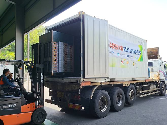 'CA 기술 적용' 참외 첫 선박 수출 [농진청 제공. 재판매 및 DB 금지]
