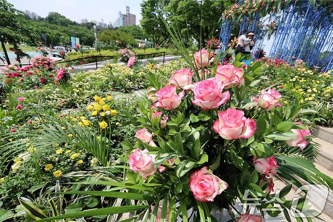 2025 서울국제정원박람회 개막을 하루 앞둔 21일 오후 서울 동작구 보라매공원에서 관계자들이 정원을 가꾸고 있다. 2025.5.21/뉴스1 ⓒ News1 황기선 기자