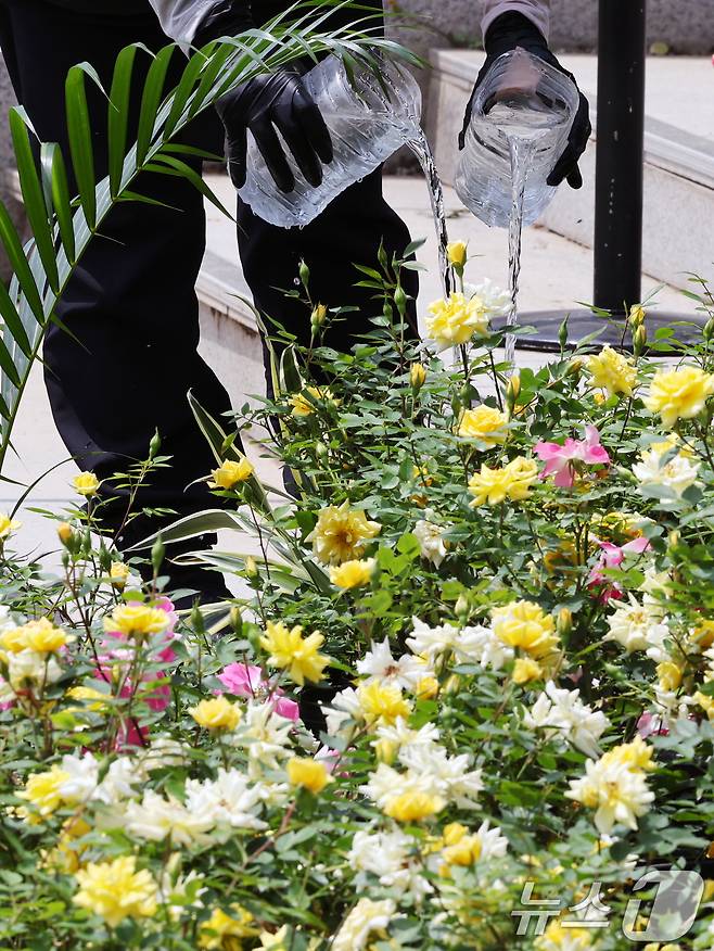 2025 서울국제정원박람회 개막을 하루 앞둔 21일 오후 서울 동작구 보라매공원에서 관계자들이 정원을 가꾸고 있다.  2025.5.21/뉴스1 ⓒ News1 황기선 기자