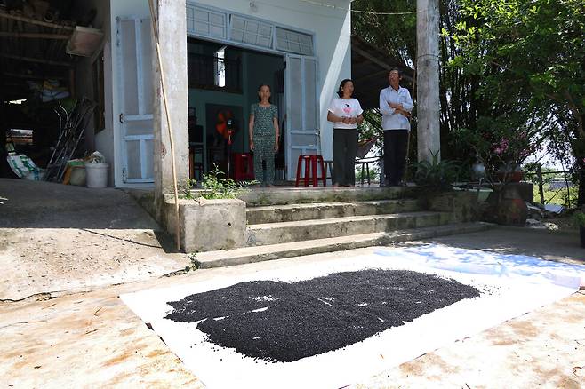 응우옌티씨 남매가 학살이 벌어졌던 마당을 보며 이야기하고 있다. 가족들이 총에 맞아 쓰러졌던 곳에 검은콩이 펼쳐져 있다.