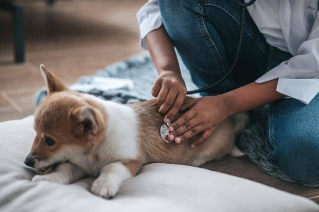 게티이미지뱅크