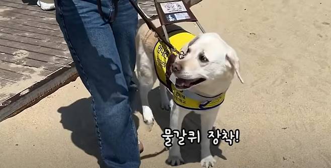 허우령씨 유튜브 '우령의 유디오' 채널 영상 화면 캡처