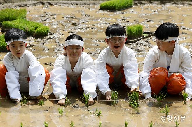 절기상 햇볕이 풍부하고 만물이 생장하여 가득 찬다는 의미를 지닌 소만인 21일 서울 농업박물관 야외농장에서 열린 ‘농협중앙회와 어린이가 함께하는 전통 손모내기 체험 행사’에서 어린이들이 모를 심고 있다.  문재원 기자