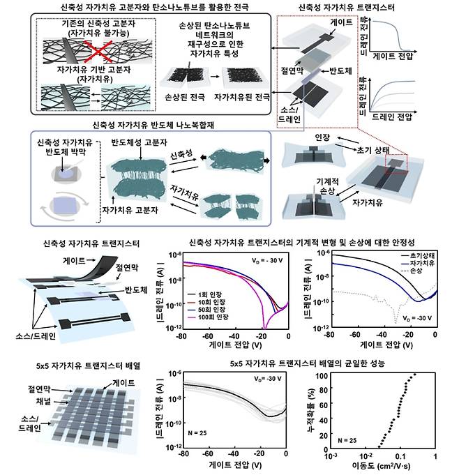(위)신축성 자가치유 트랜지스터의 구조와 이를 구성하는 탄소나노튜브 전극과 반도체 나노복합재. (가운데)신축성 자가치유 트랜지스터의 전기적 기계적인 안정성. 신축성 자가치유 트랜지스터는 30%의 인장에 100회 노출되어도 전기적 특성을 유지하며 기계적 손상 후에도 스스로 회복할 수 있다. (아래)5x5 자가치유 트랜지스터 배열의 드레인 전류와 이동도를 통한 균일한 성능 확인. 한국연구재단