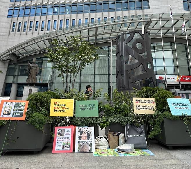 푸바오 살리기 피켓시위[푸바오 살리기 시민연대 제공]
