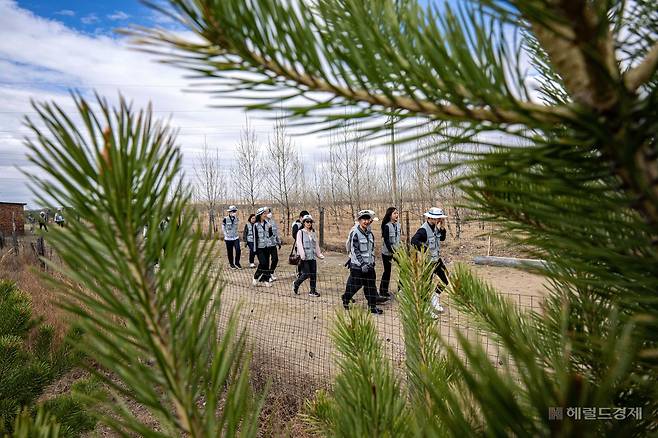 대한항공과 아시아나항공 임직원들이 지난 20일 몽골 울란바타르시 바가노르구에 위치한 대한항공 숲에서 식림 활동을 하고 있다. 바가노르(몽골)=임세준 기자