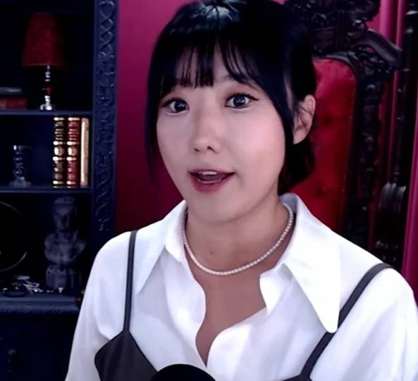 257만 구독자를 보유한 유튜버 디바제시카