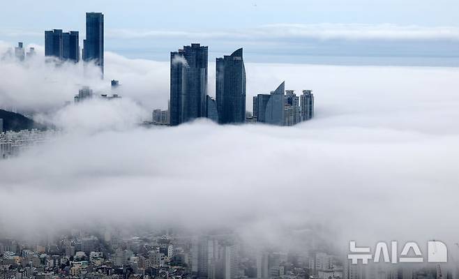 [부산=뉴시스] 하경민 기자 = 초여름 더위가 이어진 21일 부산 황령산의 한 전망대에서 내려다 본 도심이 짙은 해무로 뒤덮여 장관을 연출하고 있다. 2025.05.21. yulnetphoto@newsis.com