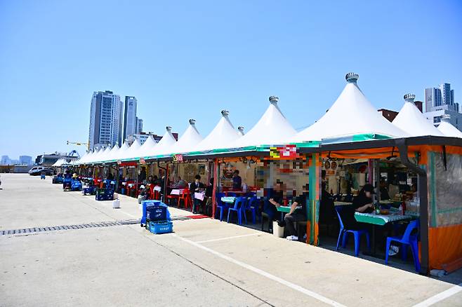 속초항 오징어 난전. 속초시 제공