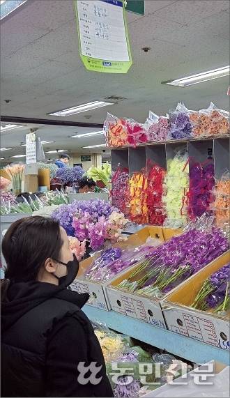 4월 서울 강남고속터미널 경부선 꽃시장에서 한 소비자가 콜롬비아산 장미를 바라보고 있다. 이곳은 유사도매시장으로 국내 유통되는 수입 꽃의 상당수가 여기서 거래된다.