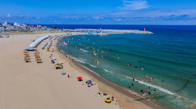 고래불 해수욕장. 영덕군 제공