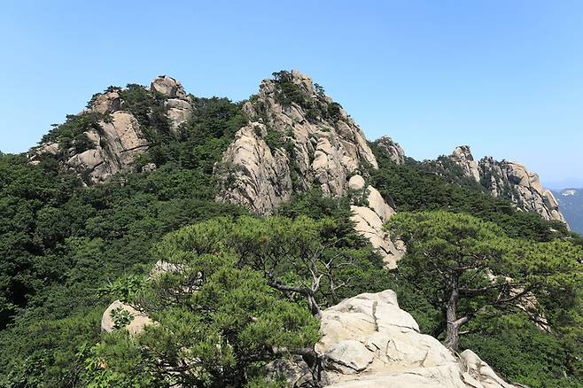 기암괴석이 펼쳐진 서울 도봉산 자운봉 일대 전경. 봄철 맑은 날씨에 암릉 능선을 따라 산행을 즐기기 좋은 명소로 꼽힌다. 게티이미지뱅크