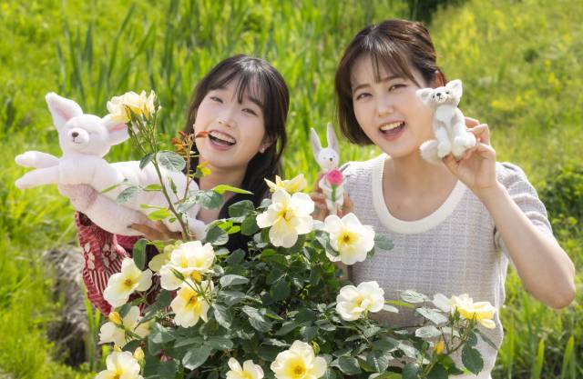 방문객들이 에버랜드 장미축제를 찾아 로로티 세계관 주인공 도나 D 로지 인형을 들고 즐거워하고 있다. 사진 제공=에버랜드