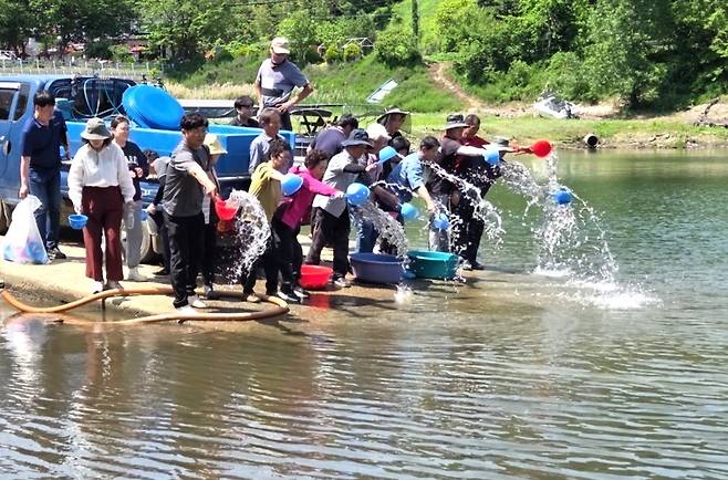 대청호에 새끼 뱀장어 방류 [옥천군 제공. 재판매 및 DB금지]