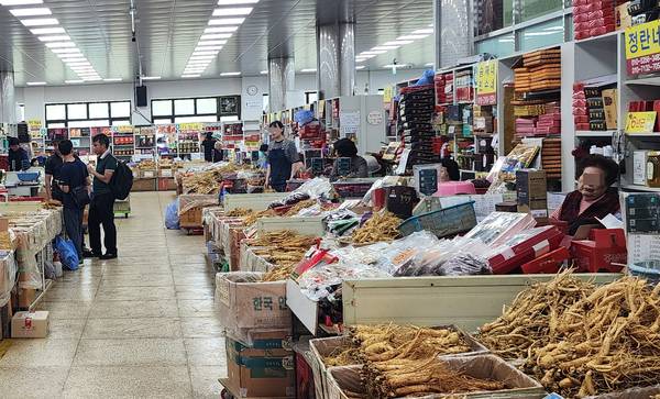 강화의 유명 특산물 중 하나인 인삼을 판매하는 인삼센터 내부가 한산하다. 지난 21일 오후에 만난 인삼센터 내 한 상인은 “경기가 역대 최악”이라면서 “요새는 며칠씩 손님 한 명 받지 못하는 경우가 많다”고 했다. 2025.5.21 /정진오기자 schild@kyeongin.com