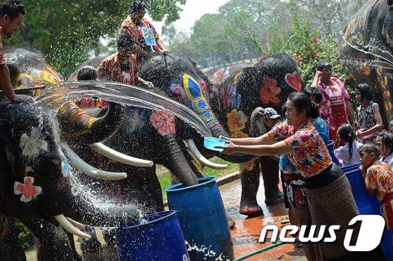 태국에서 새해맞이 행사 송크란 축제가 시작된 가운데 11일(현지시간) 방콕 북쪽 아유타야에서 시민들이 코끼리와 물싸움을 벌이고 있다. ⓒ AFP=뉴스1 ⓒ News1 최종일 기자
