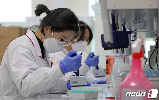사진은 질병관리청 연구원들이 실험을 수행하는 모습으로 기사와 무관. ⓒ News1 장수영 기자