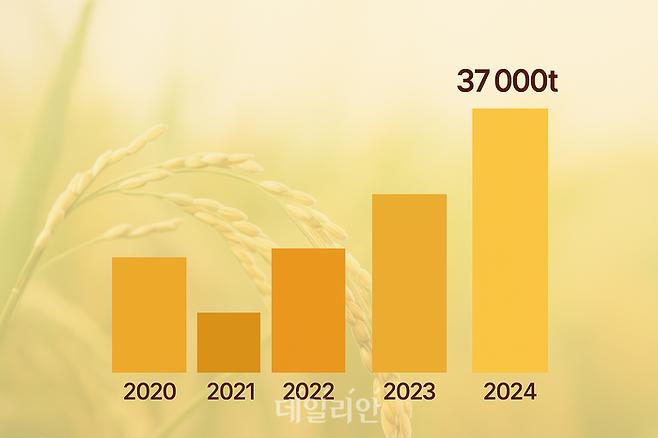 최근 5년간 쌀 수출 추이. ⓒ챗GPT