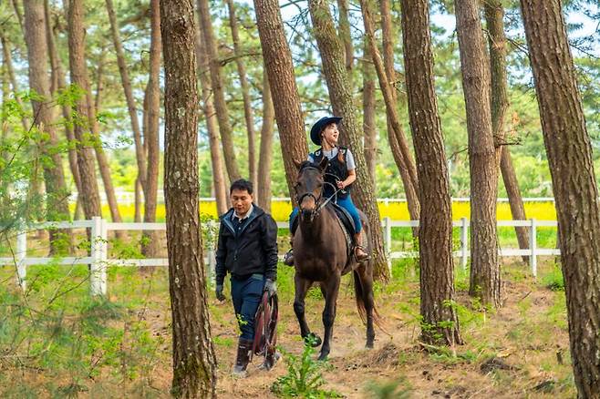 '휘게팜 고창해변승마클럽' 소나무숲 외승 프로그램. 한국관광공사 제공