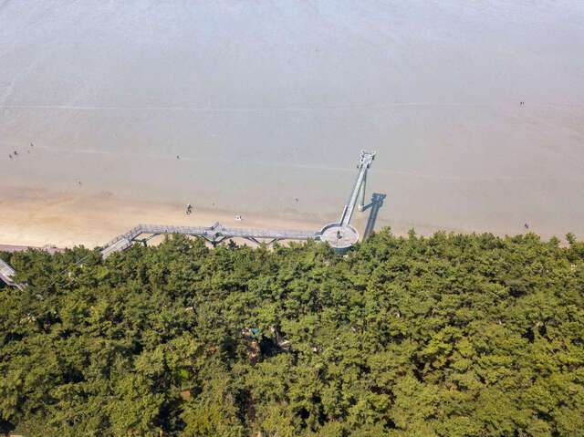 소나무 숲 위를 걸을 수 있게 만든 장항스카이워크 뒤로 광활한 서해 갯벌이 펼쳐져 있다.