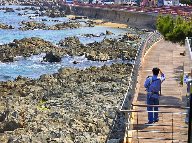 카페봄 밖에 있는 덱을 산책 중이다 / 사진=김혜성 여행+ 기자