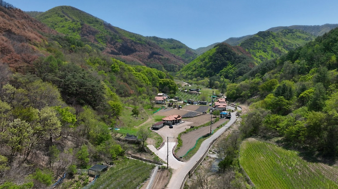 산불 피해가 거의 없었던 경상북도 주왕산 국립공원 내 너구마을. 활엽수가 마을을 둘러싸고 있는 모습을 확인할 수 있다.[그린피스 제공]