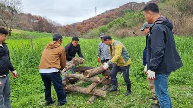 경북 영양군, 장구메기습지에 곤충호텔 설치 [화면제공=경북 영양군]