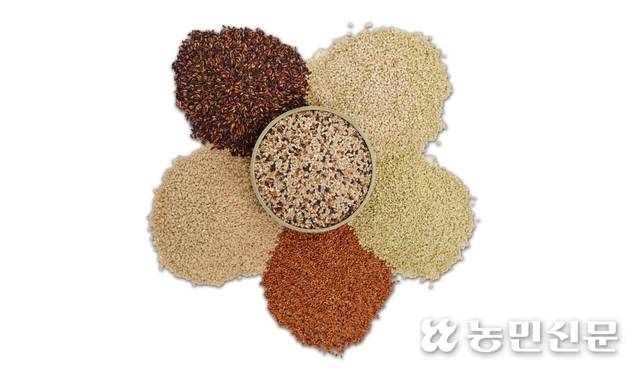 다양한 발아현미를 혼합한 발아오색미.