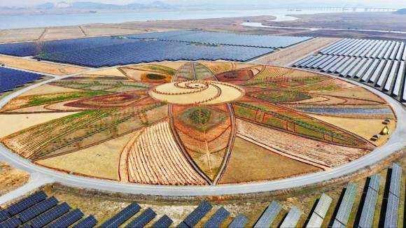 전남 해산군 솔라시도 태양광발전소 내 태양의 정원 ‘썬가든’ 중 부지 중앙에 위치한 원형광장 모습. 해남군 제공