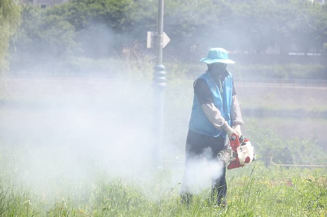 병해충 퇴치 작업으로 분주  (대구=연합뉴스) 박세진 기자 = 지난 21일 대구 동구 동촌유원지에서 동구보건소 방역반원들이 병해충 방역작업을 하고 있다. 2025.5.21 psjpsj@yna.co.kr