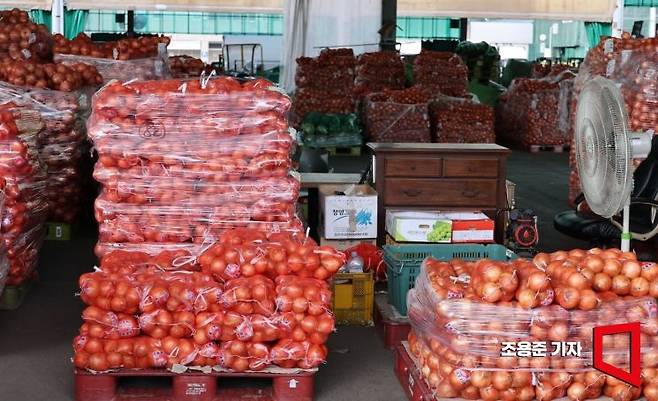 서울 송파구 가락도매시장 채소 집하장에 양파가 쌓여 있다.