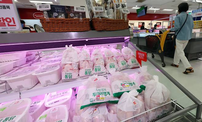 23일 서울 한 대형마트의 닭고기 판매대 모습. /뉴스1