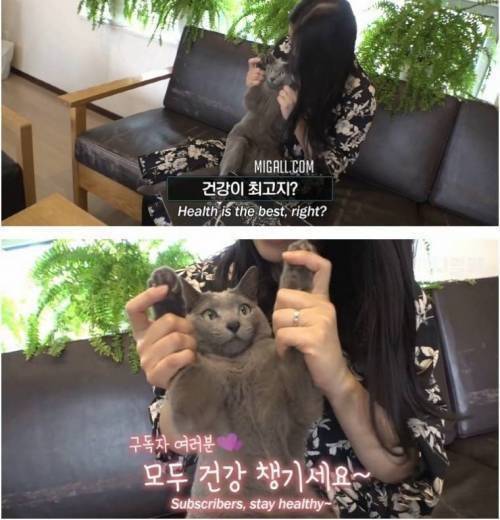 츄르 대신 한약 챙겨 먹고 다니는 고양이.jpg 츄르 대신 한약 챙겨 먹고 다니는 고양이.jpg