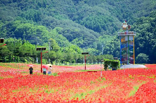 산소카페 청송정원. 청송군 제공