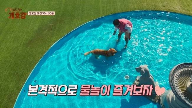 사진=JTBC ‘집 나가면 개호강’