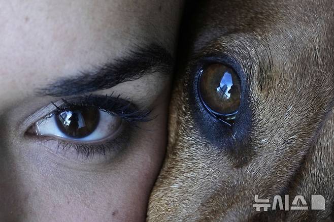 <font style="vertical-align: inherit;"><font style="vertical-align: inherit;">[부에노스아이레스=AP/뉴시스] 지난달 6일(현지 시간) 아르헨티나 부에노스아이레스에서 마갈리 마이소나베가 자신의 여섯 살 된 강아지와 사진을 찍고 있다. 2025.05.23.</font></font>