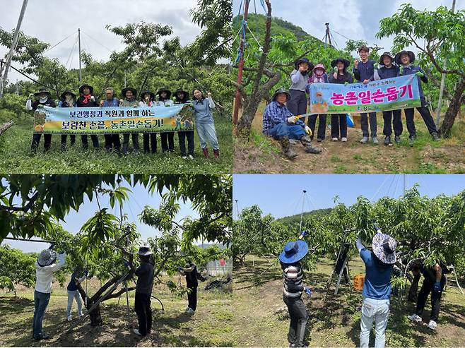 청도군 농촌일손돕기 (사진=청도군 제공) *재판매 및 DB 금지