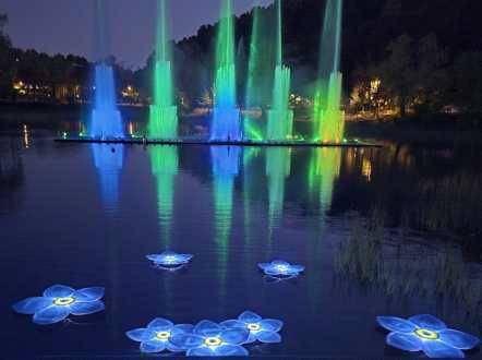 보라매공원에 조성된 '세송이물망초의 정원' 야간 모습 [통일부 제공. 재판매 및 DB 금지]