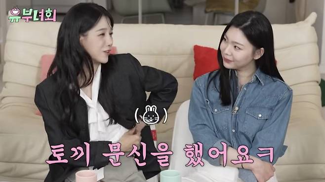 사진 = 유튜브 채널 로보락 캡처