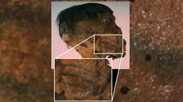 지금으로부터 약 800년 전 사망했을 것으로 추정되는 미라 얼굴에서 얼굴 문신이 포착됐다. 미라의 오른쪽 뺨에는 세 개의 검은 가로줄 문신이 보인다. (출처=G. Mangiapane 외)