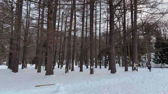 09988500c7f46cf523e6f590339c701b357885619607d50a63920f853eacbf13d66f80818ba8c74682e96797cc936ab7946c50729d