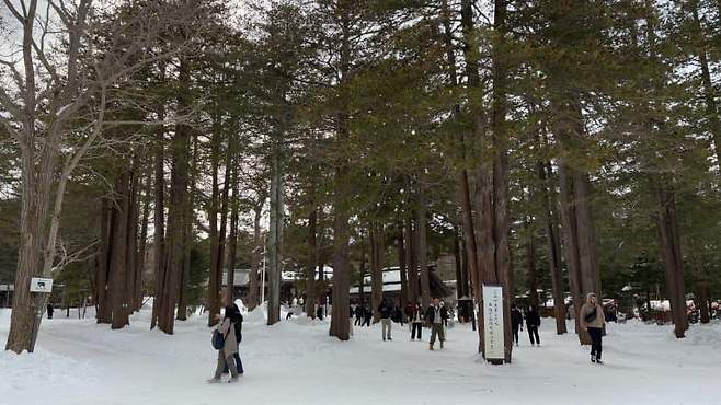 79ed8570b78461f4239af4e5419c701e7c437f5be1904db0d57312088165fc74c0b06774d8dca959e5a42d3abb4e7c4883ebae6c6c