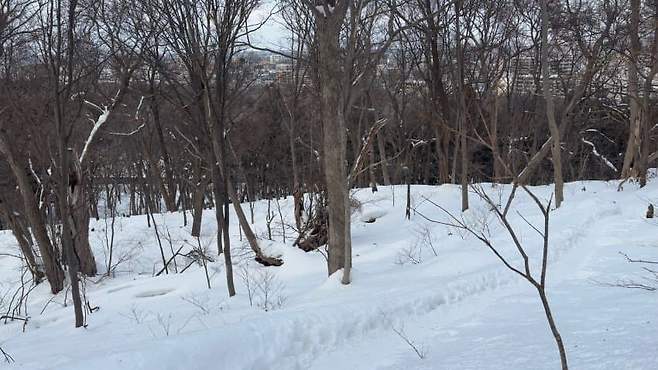 09e8f37fb6846af523e7f3e5309c701ea6570095e2b59b766d2a7d0e406390537e622d2d75e414f870437d26507e28442a19d87916